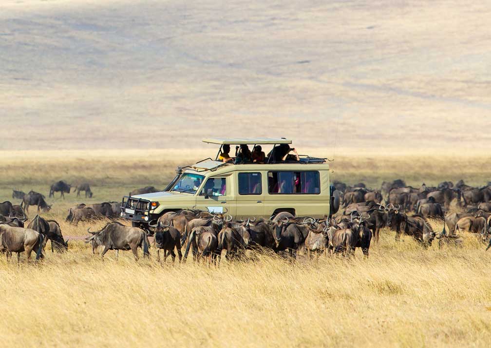 Exploring the Unseen – A Journey Through Serengeti National Park